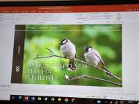 Отбелязахме Международния ден на птиците в ОУ „Аверкий Попстоянов“