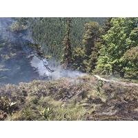 Локализиран е пожарът в местността Коджа Карийца в Природен парк „Рилски манастир“