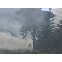 !!! АПЕЛ ЗА ОТГОВОРНОСТ: Пожарът в Рила ни напомня – природата няма втора възможност